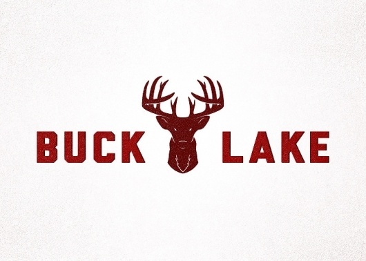Branding 10,000 Lakes #lake #logo #wordmark