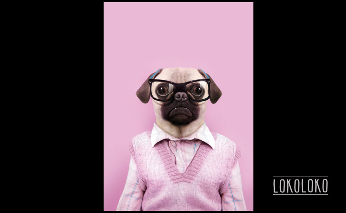 #funny #pink #dog #fashion #poster #minimal Poster realizado por César Sánchez Andújar para lokoloko.es