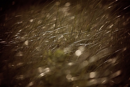 arizona muse : Justin Hollar photography #justin #hollar #landscape