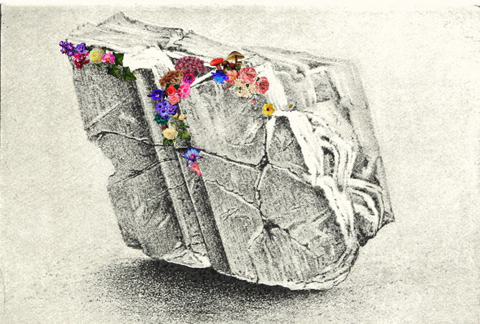 Rebirth - by Quentin Deronzier #artwork #collage #flowers http://quentinderonzier.com/Rebirth