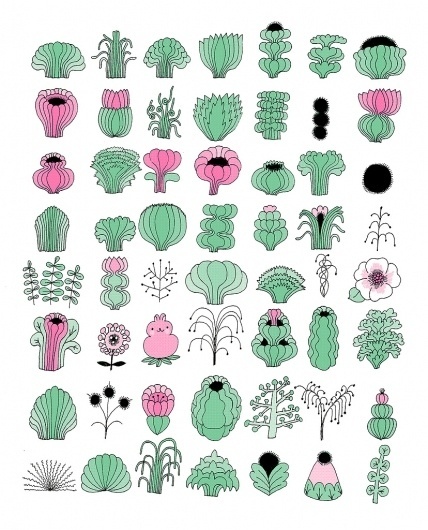 All sizes | flora collection | Flickr - Photo Sharing! #print #plants #illustration
