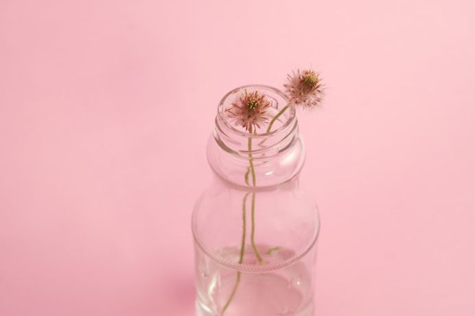 Tea, flower, pink and clear glass HD photo by Neven Krcmarek (@nevenkrcmarek) on Unsplash