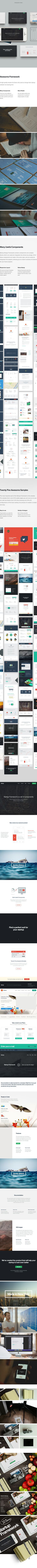 Startup Framework