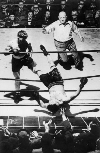 W E L L ※ F E D #blood #champion #violent #boxing #knockout