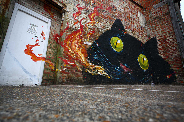 hitnes | Tumblr #chichester #cat #hitnes