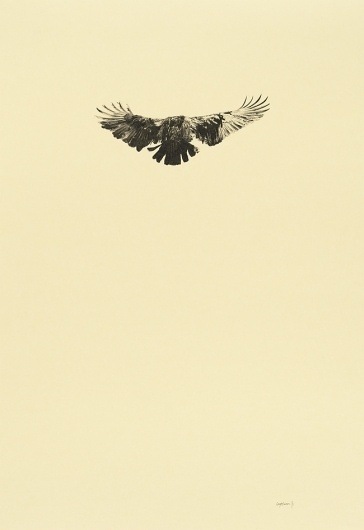 2011 : Greg Eason #illustration #drawing