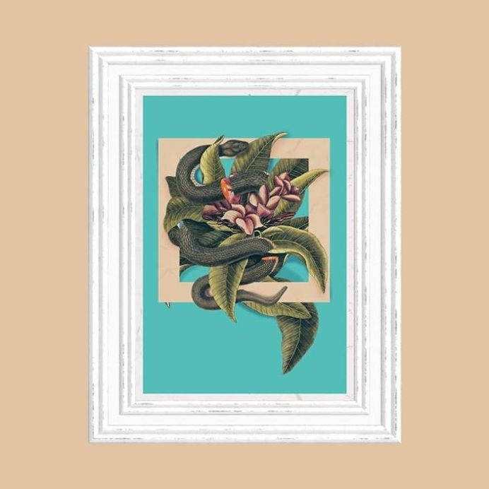 Flower Snake and Salmon // Colour #salmon #print #snake #vintage #poster #flower #collage