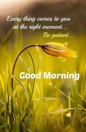 473 Best good morning photos by sonusunariya | HappyShappy