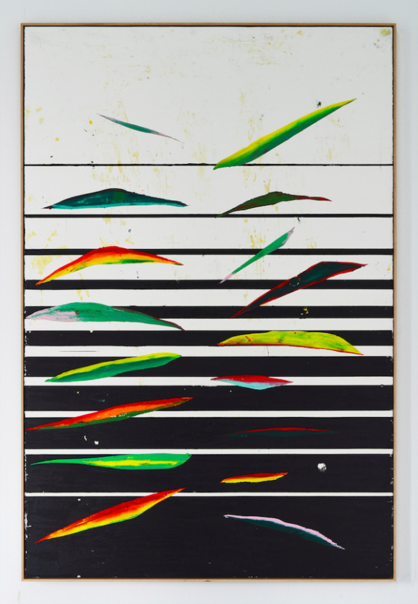 Harold Ancart | PICDIT