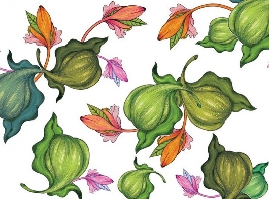 JOYCE — HONG KONG — COLLABORATION #illustration #organic #flowers #green
