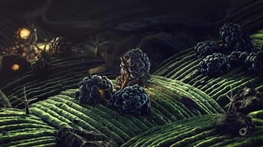 Motion Graphics by SEHSUCHT | 123 Inspiration #video