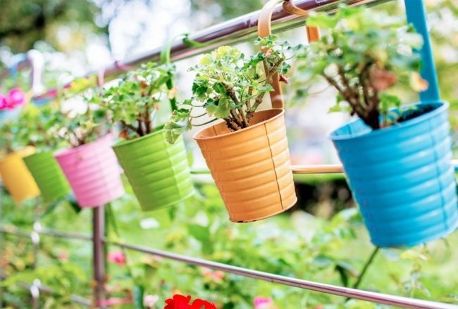 Colorful Flowerpots