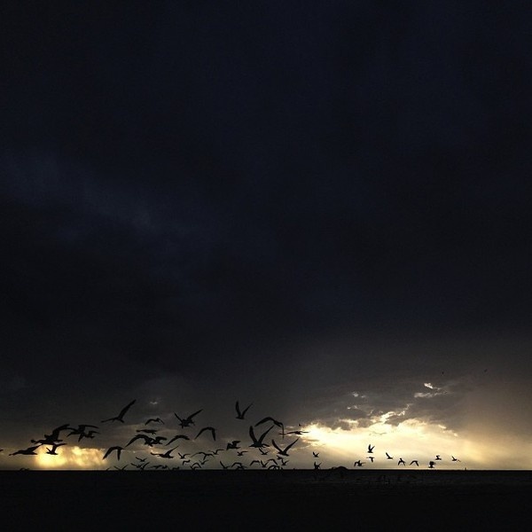 Birds. #clouds #shade #rockwell #florida #birds #james #rain #sunset #light #shadow