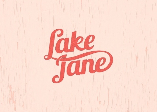 Branding 10,000 Lakes #logo #typography