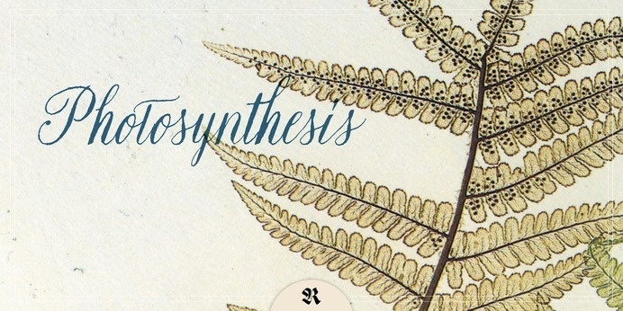 Natura - Webfont & Desktop font « MyFonts #calligraphy #script #writing #nature #handwritten #type