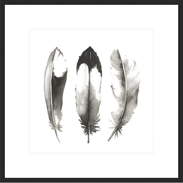 Framed Print 'Water Colour Feathers II' 50cm x 50cm