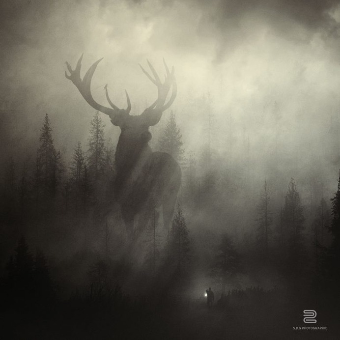 Guardian of the Forest