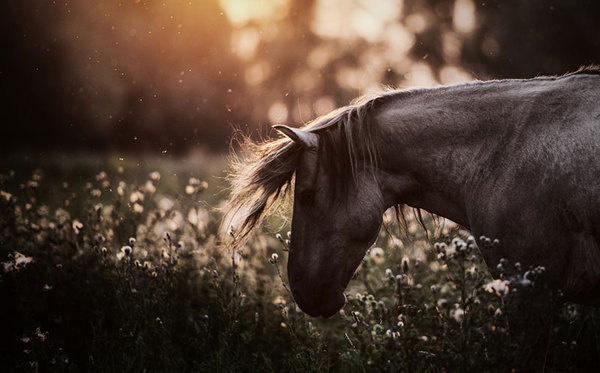 { i n s p i r a r e } #light #majestic