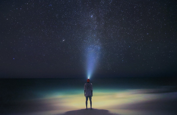 Star Gazer #star #gazer