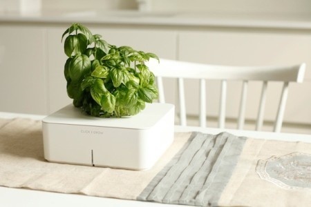 Click and Grow is an automatic plant growing system which can grow plants without watering and fertilizing. #product #kitchen #design #home