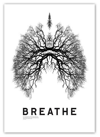 FFFFOUND! | 848246317_e4027c95ba_b.jpg (JPEG Image, 749x1024 pixels) #breathe