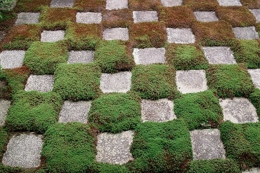 SDIM3607 | Flickr - Photo Sharing! #stones #chess #japan #grass
