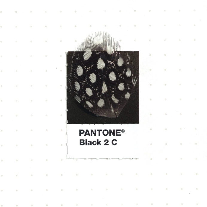 Graphic Designer Inka Mathew Matches Everday Objects to Pantone Colors