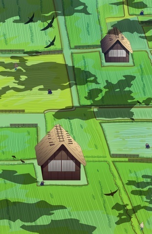 "Paddy rice field" #Japan #field #agriculture #decor #cultive #rice #birds #houses #traditional #decor #illustration