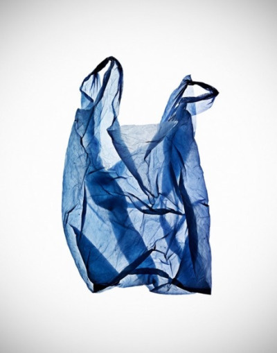 - still life -