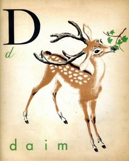 Oh Deer / Deer #illustration #graphic #art