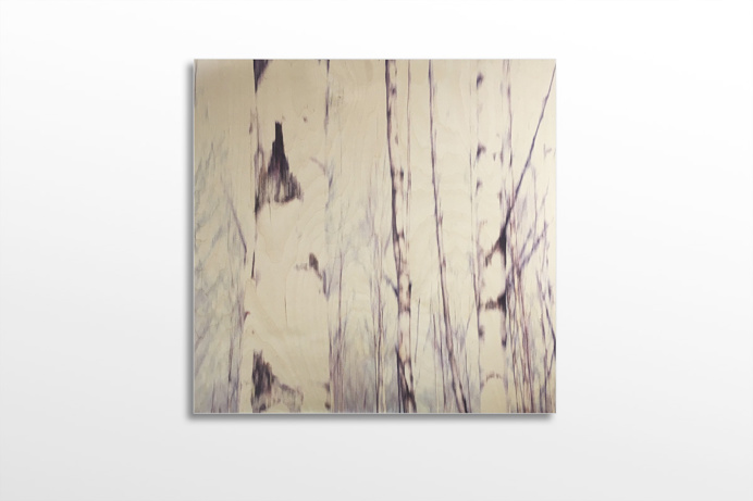 #bindermartin.com #wood #birch # birch tree #printing on wood #art #woodart #photography