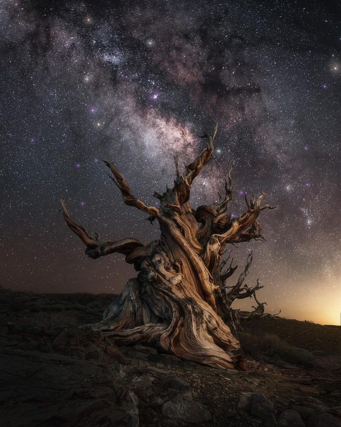 Fine Art Nature and Landscape Photography by Rudy Serrano
