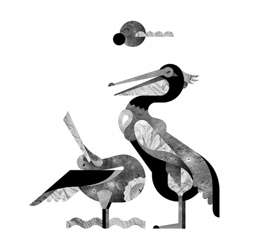 SOUND CREATURES - JANINE REWELL #rewell #white #janine #photo #black #geometric #bird #fill #illustration #and