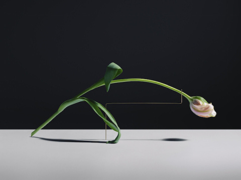 Carl Kleiner | PICDIT