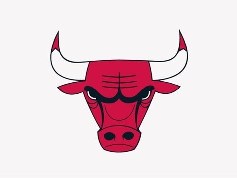 tumblr_lj922wnEtv1qe3m9lo1_500.jpg (480×360) #logo #chicago #bulls