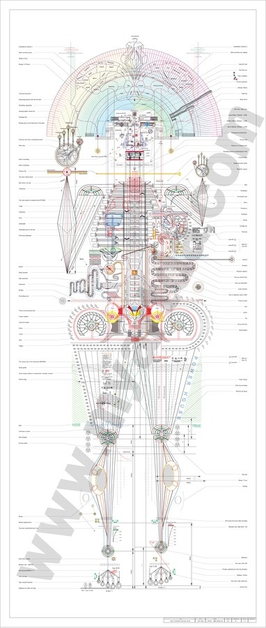 Minjeong An #self #infographic #portrait #personal
