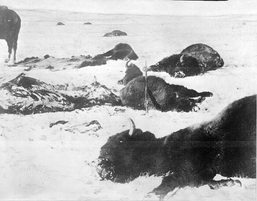 All sizes | Trail of the hide hunters | Flickr - Photo Sharing! #history #death