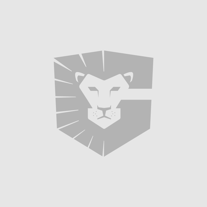 GISD lion/shield/G logo branding - minimal brand logos mark design brands icon icons