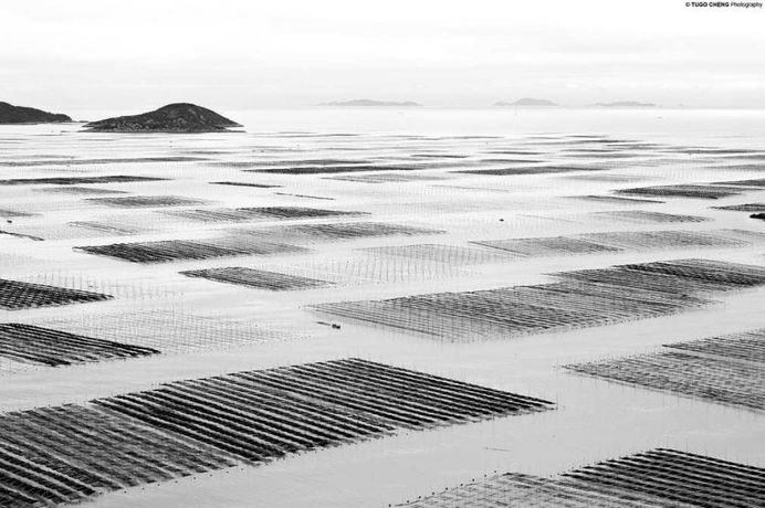 Unknown China: Coastal Geometries of Bamboo Worlds by Tugo Cheng