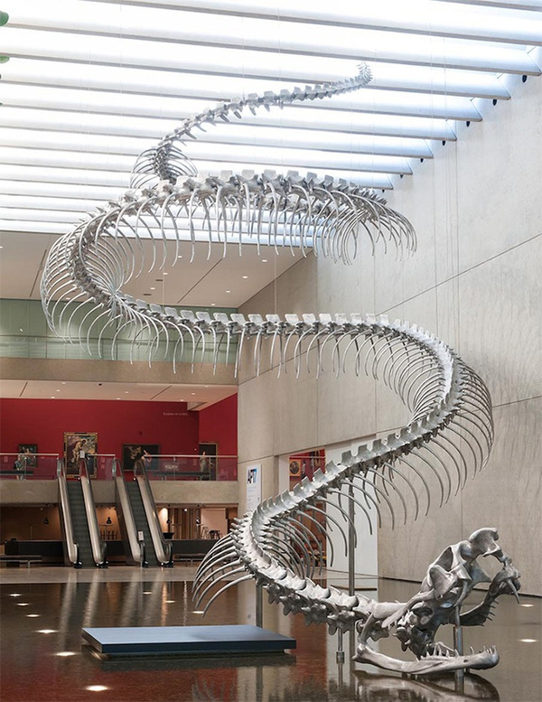 Giant Aluminum Snake Skeleton Rises from a Pool of Water at the Queensland Art Gallery #skeleton #sculpture #aluminum #snake #art