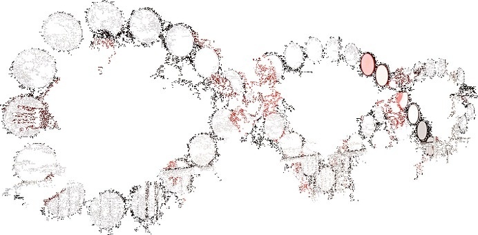 1a.gif #ee