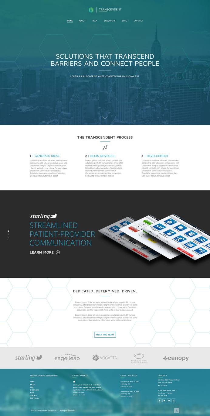 1-te-home-page #web design