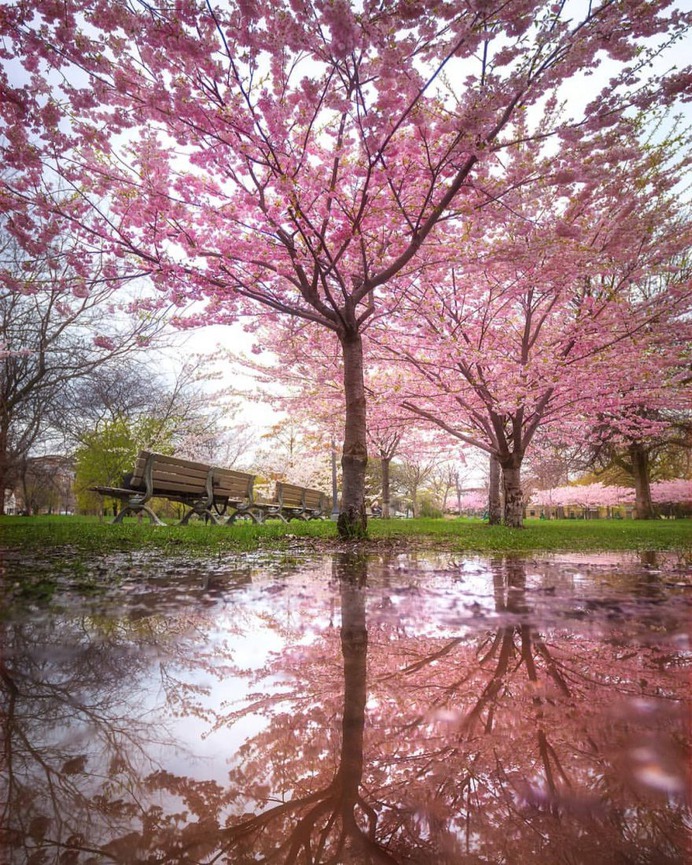 Wonderful Cityscapes and Landscapes in Toronto by Argen Elezi