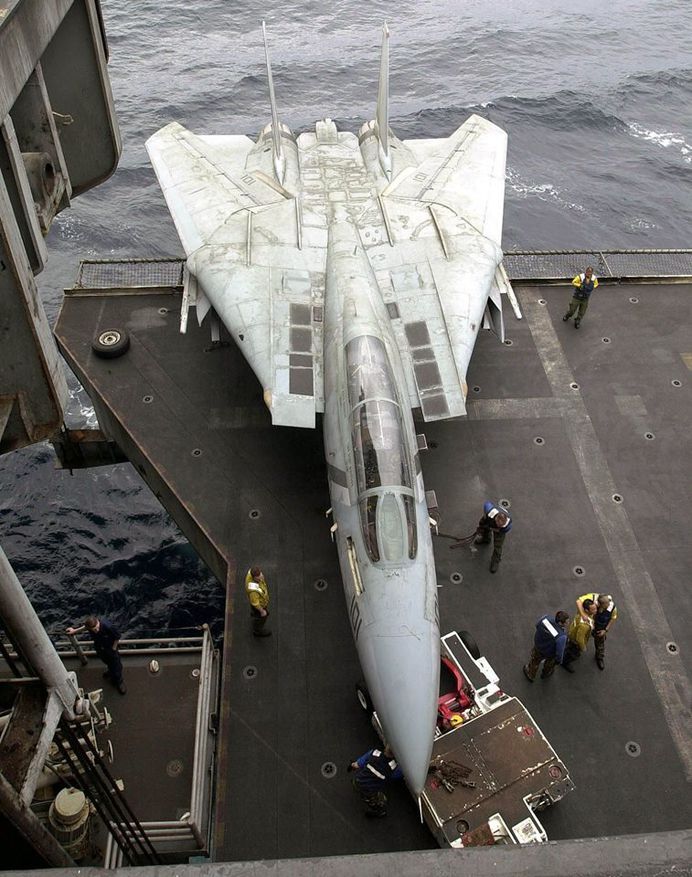 rhubarbes: " Grumman F-14 Tomcat via Aero-Pictures More Airplanes here. "