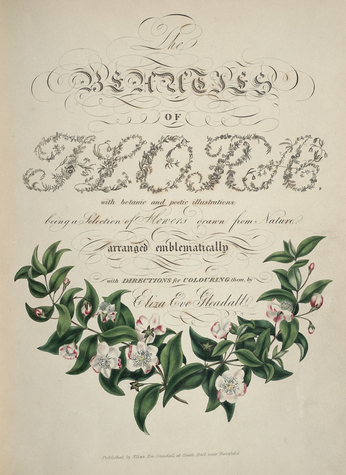 BibliOdyssey