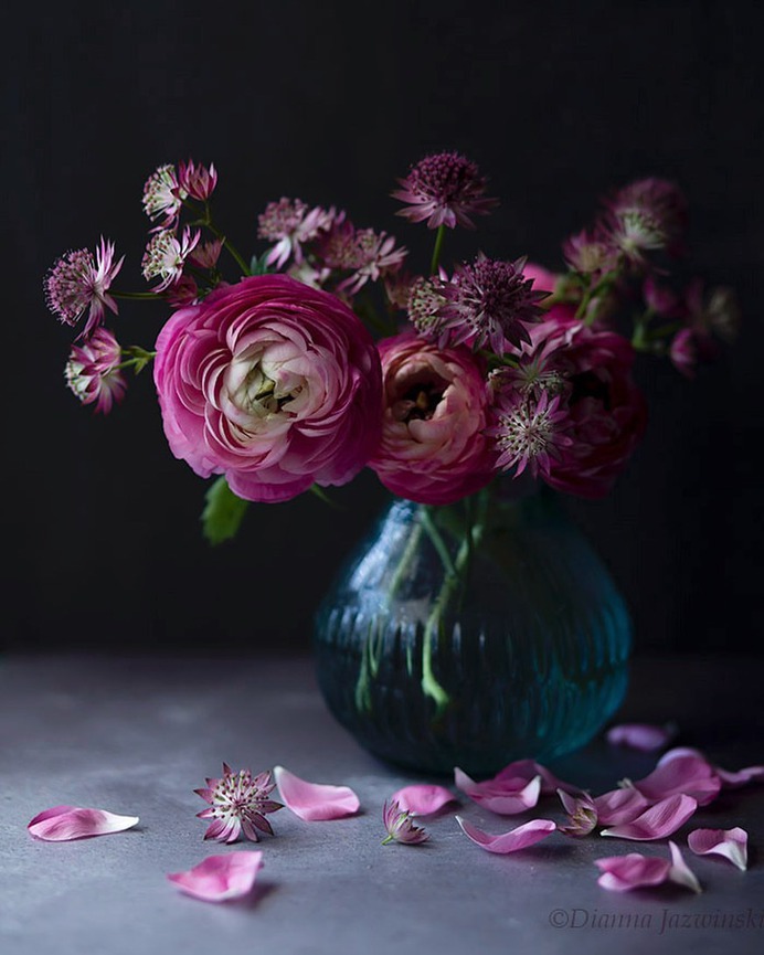 Absolutely Delightful Flowers Photography by Dianna Jazwinski