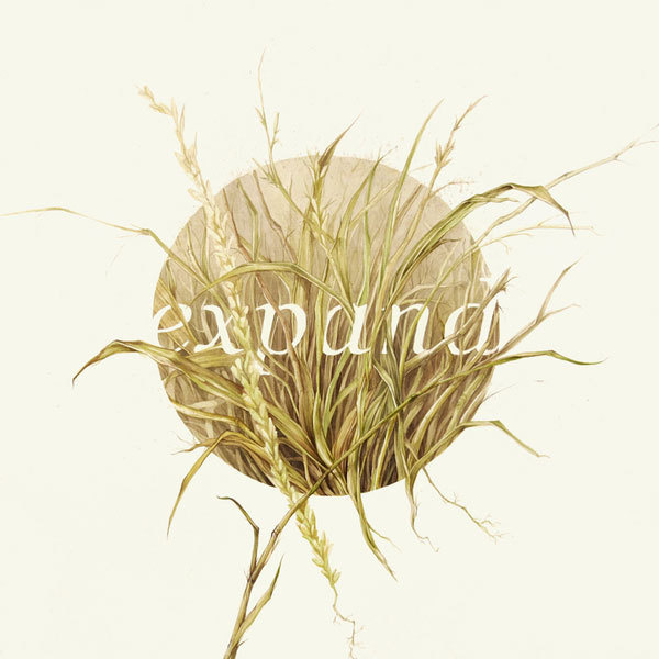 Graphic ExchanGE a selection of graphic projects #illustration #nature