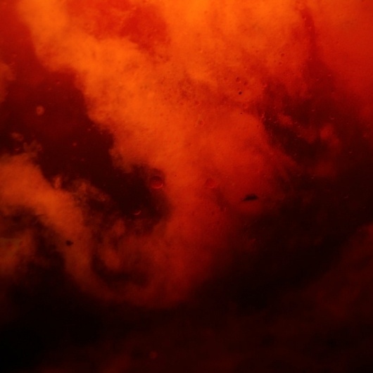 RÖTT « DANIEL JOURNAL #johansson #photography #art #daniel #macro