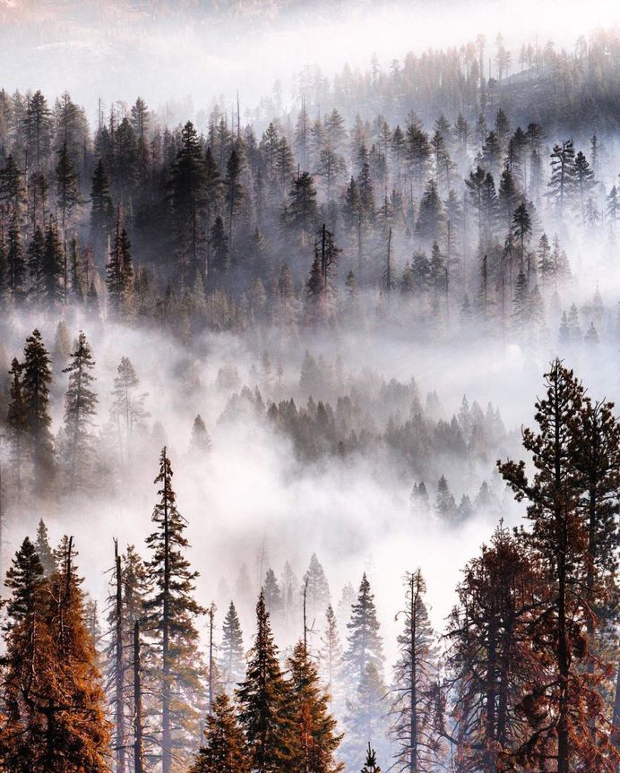 Yosemite National Park