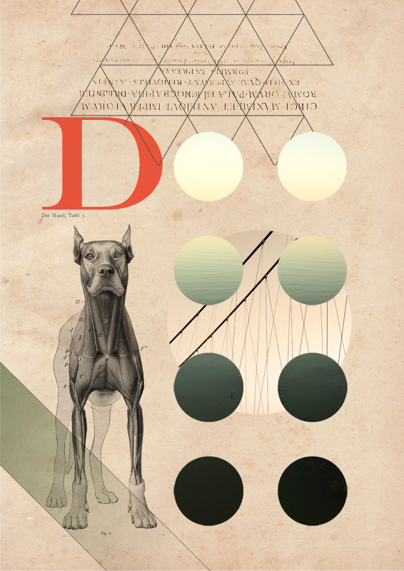 matija drozdek 9 #illustration #design #graphic #collage